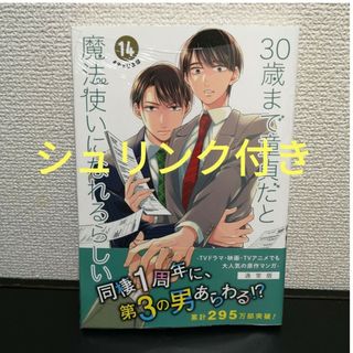 ３０歳まで童貞だと魔法使いになれるらしい　14(ボーイズラブ(BL))