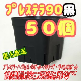 【スリット鉢】プレステラ90黒50個 多肉植物 プラ鉢-ラクマパック-(プランター)