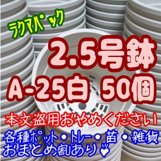 プラ鉢【A-25】50個 スリット鉢 丸 プレステラ 多肉植物-ラクマパック-(プランター)