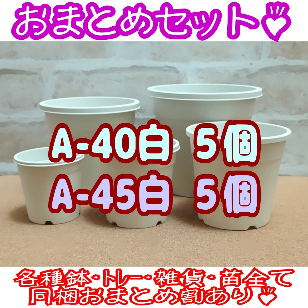 プラ鉢10個おまとめセット♪【A-40・A-45 各5個】プレステラ 多肉植物 ハンドメイドのフラワー/ガーデン(プランター)の商品写真