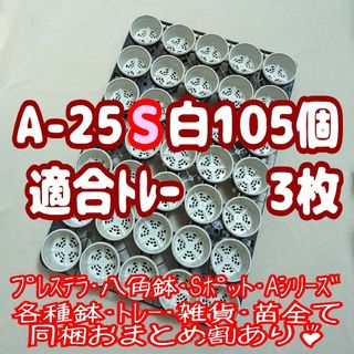 プラ鉢【A-25S】105個+専用システムトレー黒3枚スリット鉢プレステラ多肉(プランター)