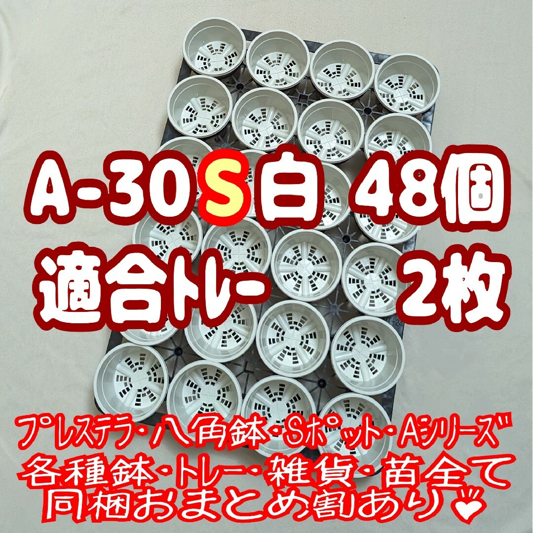 プラ鉢【A-30S】48個+専用システムトレー2枚スリット鉢プレステラ多肉植物 ハンドメイドのフラワー/ガーデン(プランター)の商品写真