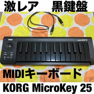 KORG製 MIDIキーボード microKEY-25 フルブラック