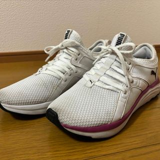 プーマ(PUMA)のPUMA プーマ ソフトライド シューズ レディース靴 23.5cm(スニーカー)