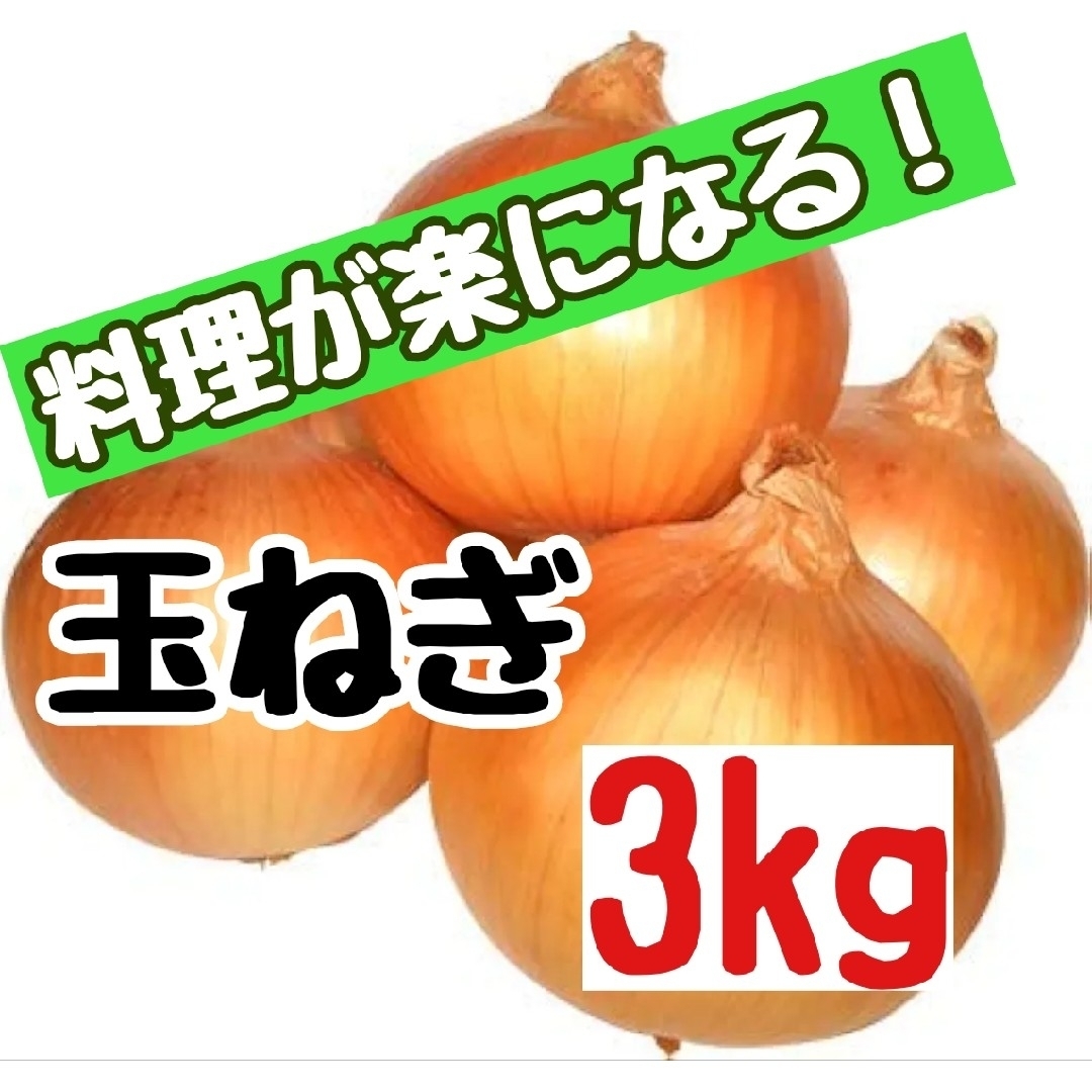 産地直送　北海道産玉ねぎ3kg(Ｌ大) 食品/飲料/酒の食品(野菜)の商品写真