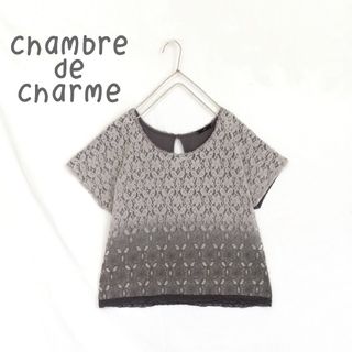 シャンブルドゥシャーム(chambre de charme)の【chambre de charme】グラデーションレースドルマンカットソー(カットソー(半袖/袖なし))