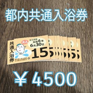 都内共通入浴券10枚セット(その他)