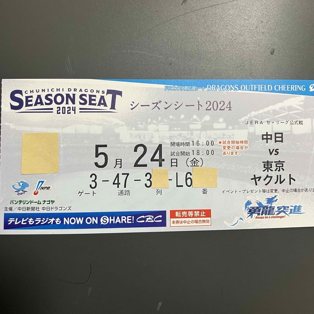5/24 中日vsヤクルト レフトドラゴンズ応援席2連番 エンタメ/ホビーのエンタメ その他(その他)の商品写真