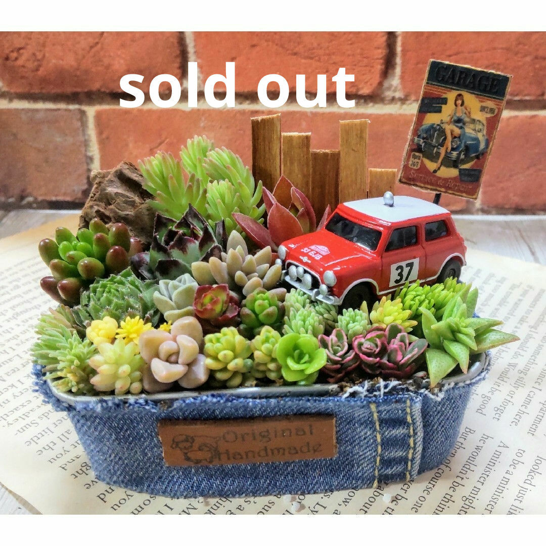 多肉植物の寄せ植え♥そのまま飾れるの通販 by まゆまゆ's shop 多肉植物の寄せ植え♥そのまま飾れるの通販 by まゆまゆ's shop