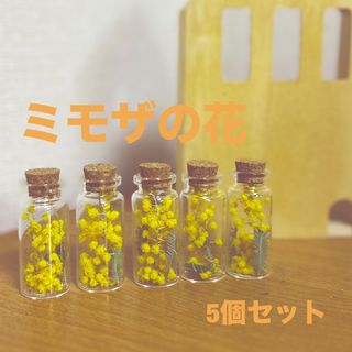 ［値下げ]ふわふわミモザの花　ドライフラワー　コルク蓋の瓶　5個セット　置物(ドライフラワー)