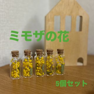 ［値下げ]ふわふわミモザの花　ドライフラワー　コルク蓋の瓶　5個セット　置物(ドライフラワー)