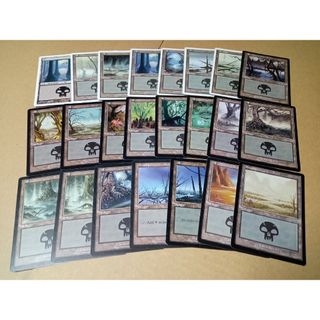 マジックザギャザリング(マジック：ザ・ギャザリング)のMTG 基本土地 沼 23種類 まとめ売り 168枚セット(シングルカード)