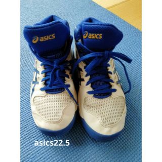 アシックス(asics)のasicsバスケットボールシューズ22.5(バスケットボール)