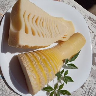 香川県産　たけのこ水煮→　正味３kg(野菜)