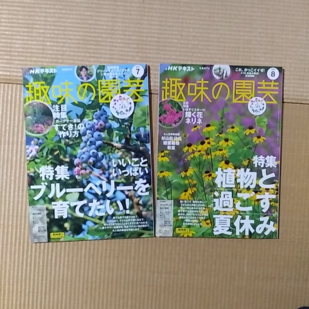 趣味の園芸　2023年7月号　8月号 エンタメ/ホビーの本(語学/参考書)の商品写真