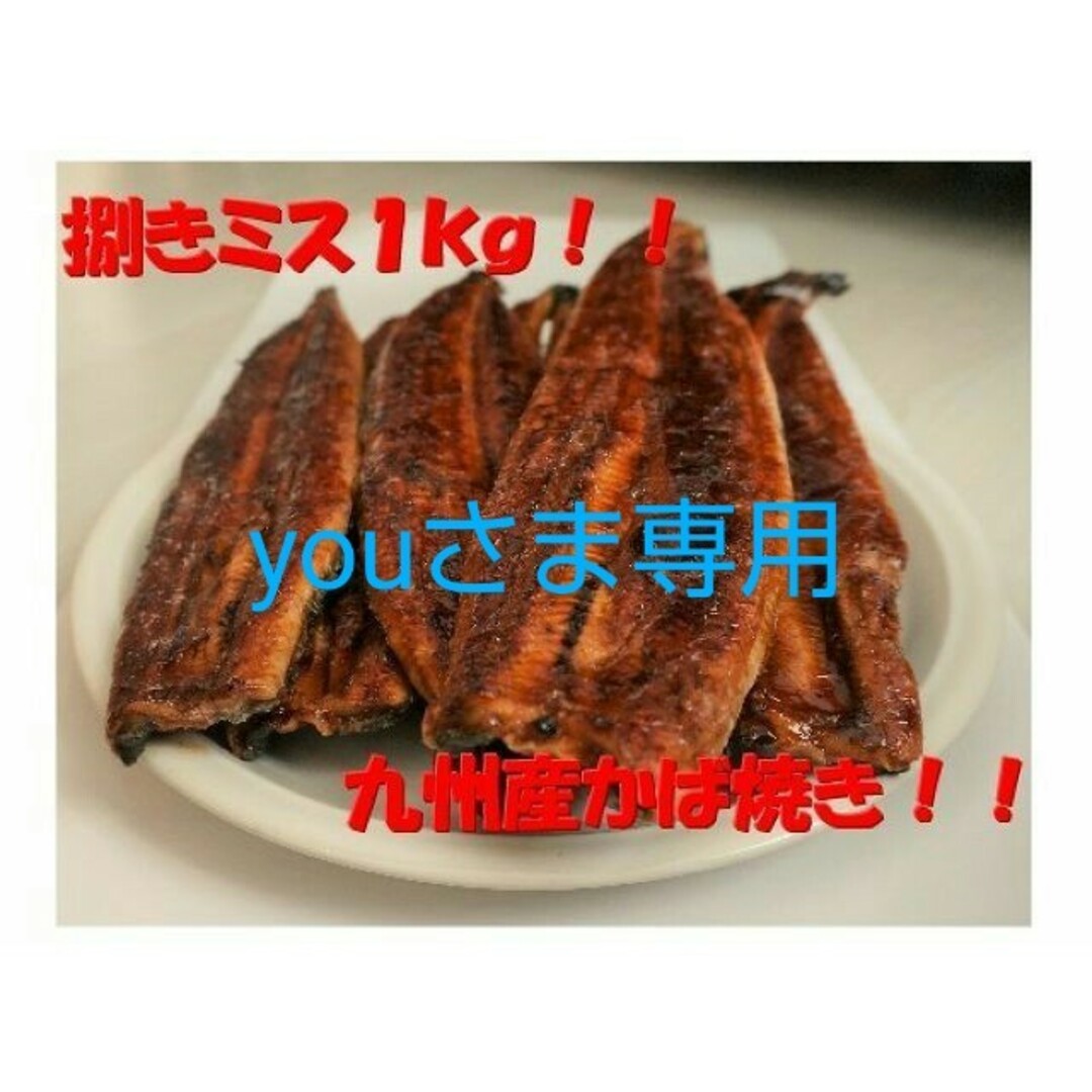 youさま専用 九州産蒲焼き 3kg 食品/飲料/酒の食品(魚介)の商品写真