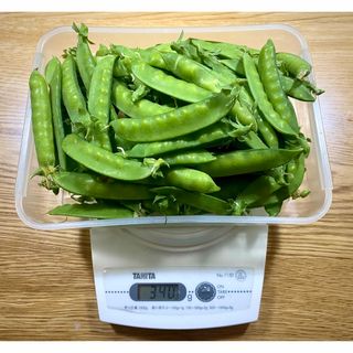 【無農薬新鮮野菜・採れたて】絹さや　内容量300g以上④(野菜)