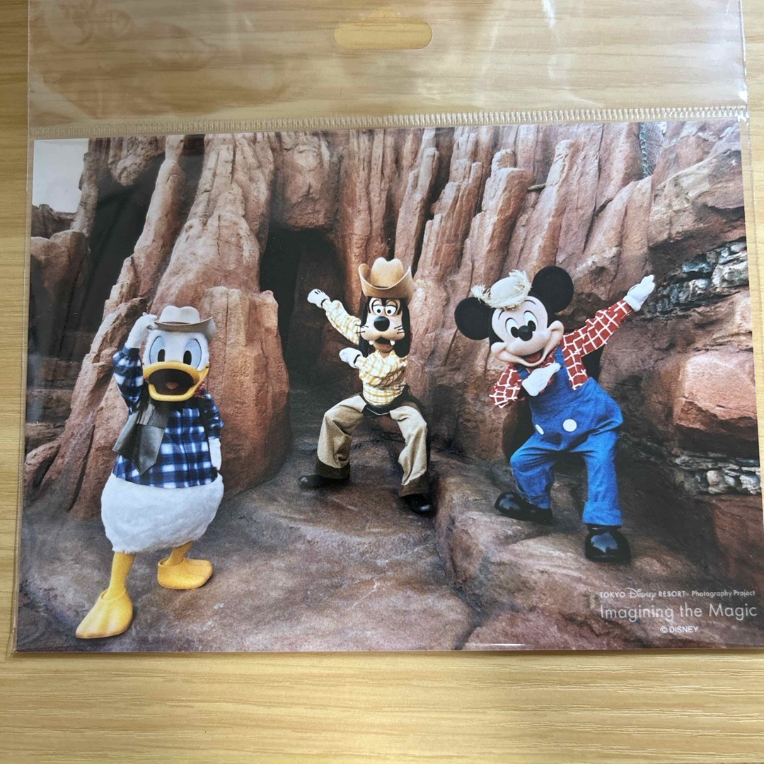 Disney(ディズニー)のディズニー　写真 エンタメ/ホビーのおもちゃ/ぬいぐるみ(キャラクターグッズ)の商品写真