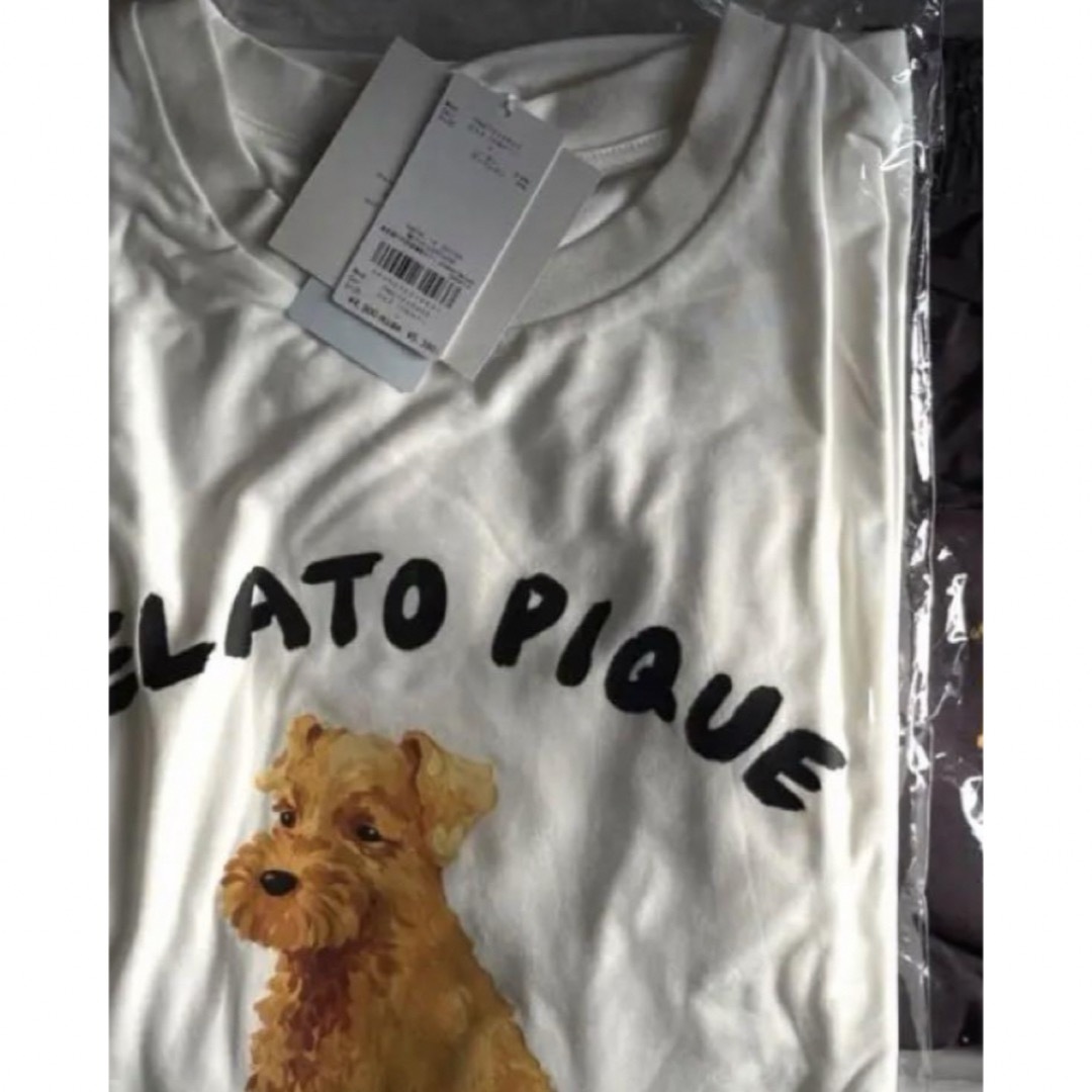 gelato pique(ジェラートピケ)の【HOMME】レーヨンシュナウザーモチーフTシャツ メンズのトップス(Tシャツ/カットソー(半袖/袖なし))の商品写真