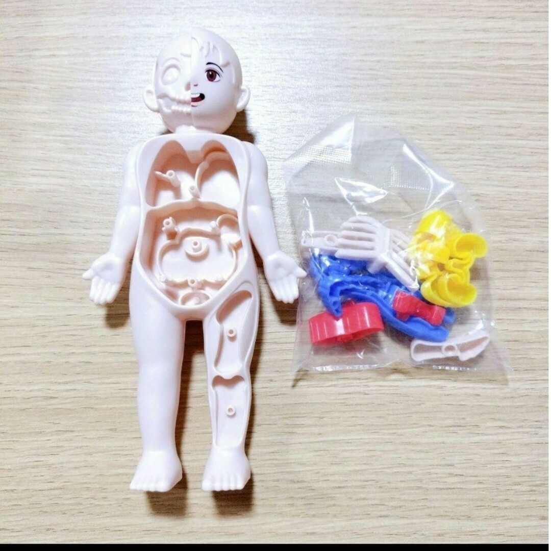 3D 人体模型 おもちゃ インテリア パズル ゲーム 教育 玩具 ②3D 人 キッズ/ベビー/マタニティのおもちゃ(知育玩具)の商品写真