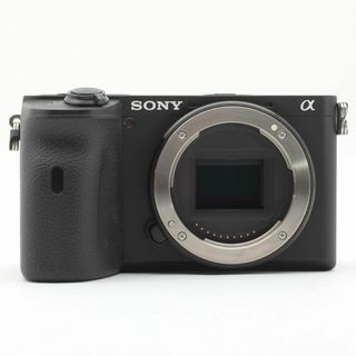 ソニー(SONY)の【ショット数559枚】SONY ソニー α6600 ボディILCE-6600(ミラーレス一眼)