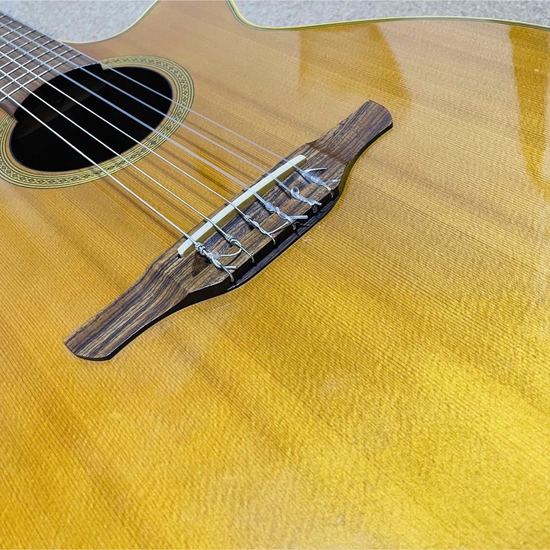 Takamine(タカミネ)のTakamine クラシックギター　エレガット　NPT110BN プリアンプ付き 楽器のギター(クラシックギター)の商品写真