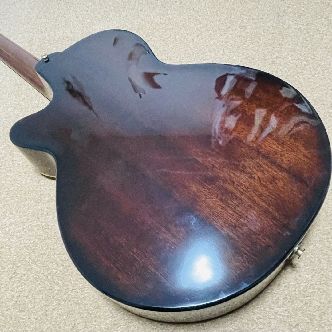 Takamine(タカミネ)のTakamine クラシックギター　エレガット　NPT110BN プリアンプ付き 楽器のギター(クラシックギター)の商品写真