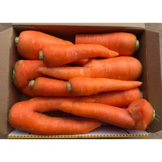 春にんじん　1.5kg箱込　B 徳島産　 規格外(野菜)