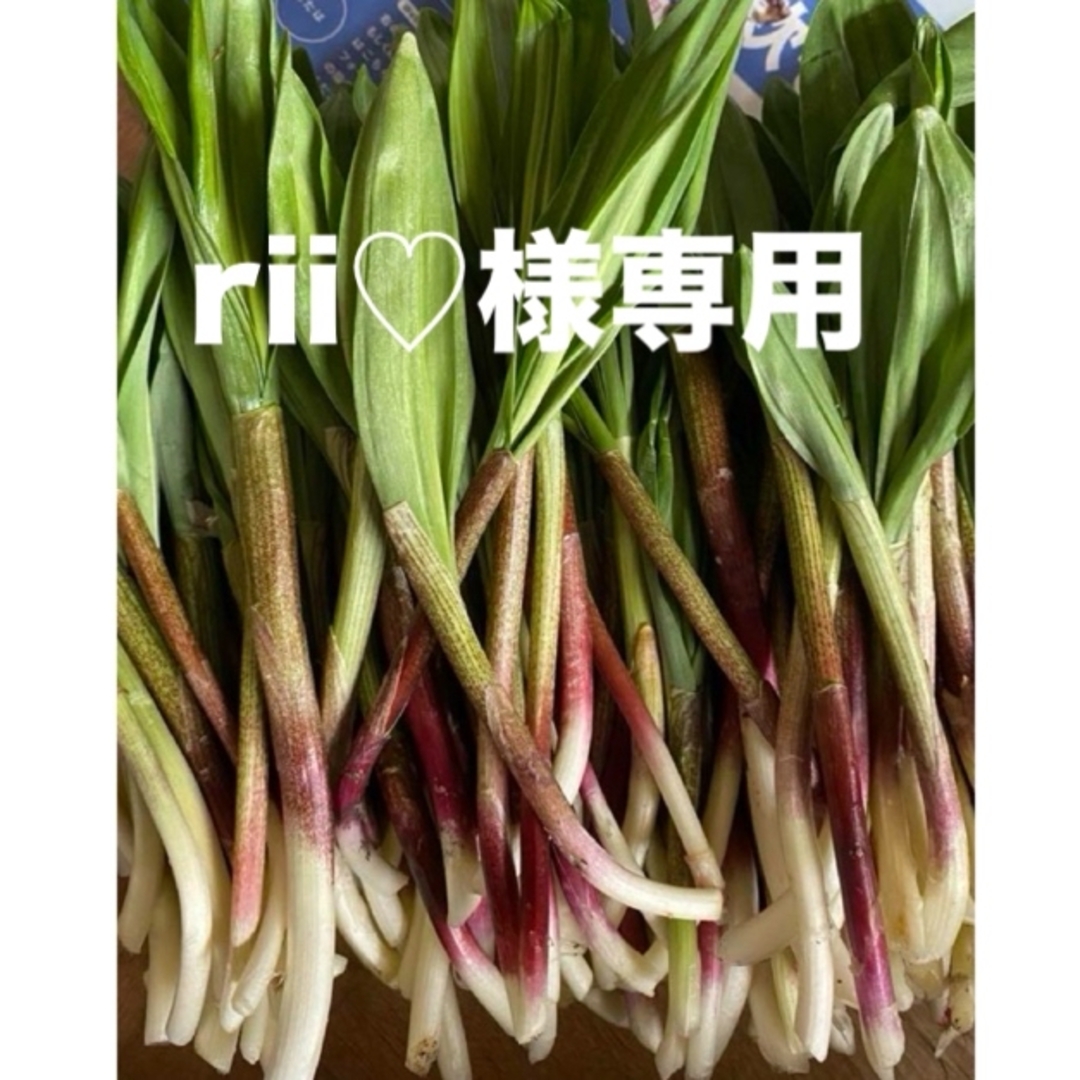 rii♡様専用 食品/飲料/酒の食品(野菜)の商品写真