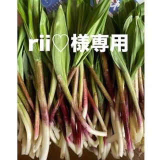 rii♡様専用(野菜)