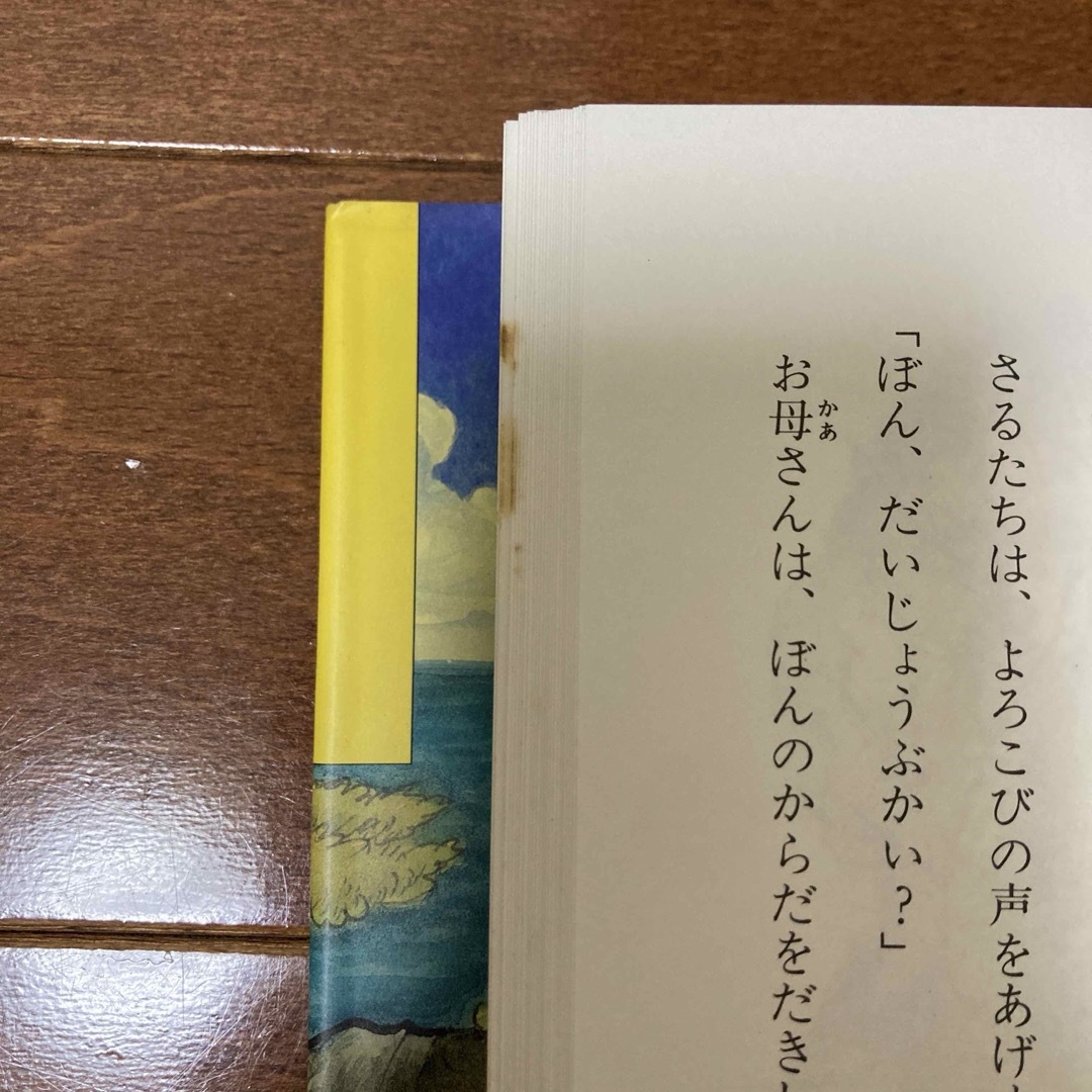 山ざるぼんのぼうけん エンタメ/ホビーの本(絵本/児童書)の商品写真