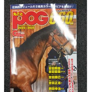 競馬 丸ごとPOG