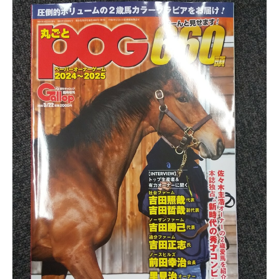 競馬 丸ごとPOG エンタメ/ホビーの本(趣味/スポーツ/実用)の商品写真