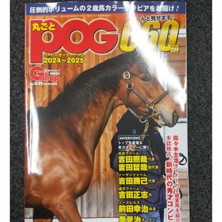 競馬 丸ごとPOG(趣味/スポーツ/実用)