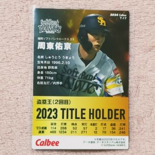 カルビー(カルビー)の【美品】2024プロ野球チップス カード(その他)