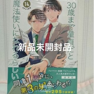 『新品未開封品』３０歳まで童貞だと魔法使いになれるらしい14(ボーイズラブ(BL))