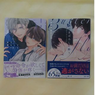 コミックのみ２冊　冬乃郁也、中見トモ