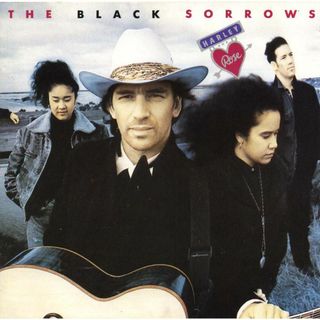 The BLACK SORROWS - Harley & Rose(ポップス/ロック(洋楽))