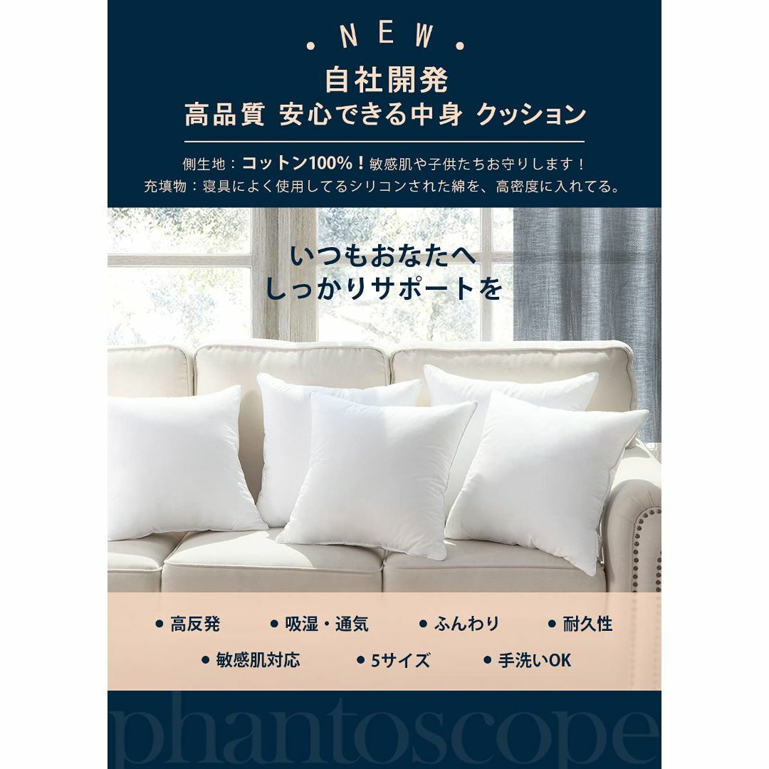 Phantoscope クッション 中身 45×45cm 単品 グレークッション インテリア/住まい/日用品のインテリア小物(クッション)の商品写真