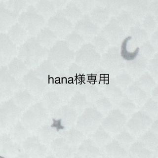 ニンテンドウ(任天堂)のhana様専用です(その他)