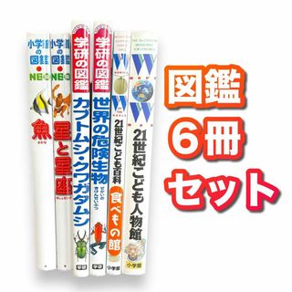 図鑑　魚／星と星座／カブトムシ・クワガタムシ／世界の危険生物／たべもの／人物(絵本/児童書)