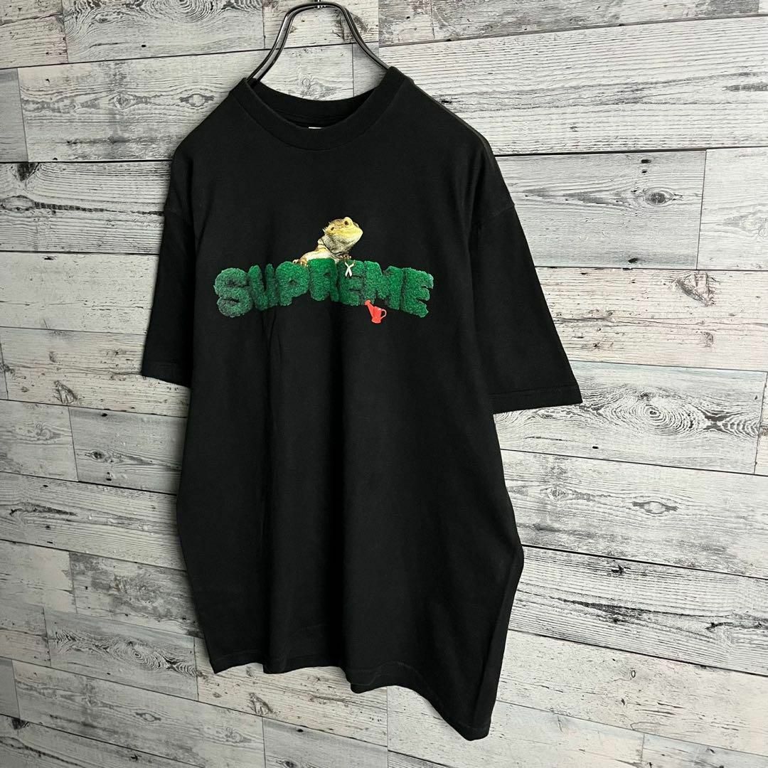 Supreme(シュプリーム)の【希少デザイン】シュプリーム☆即完売モデル入手困難Tシャツ　定番カラー その他のその他(その他)の商品写真