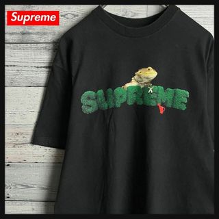 シュプリーム(Supreme)の【希少デザイン】シュプリーム☆即完売モデル入手困難Tシャツ　定番カラー(その他)