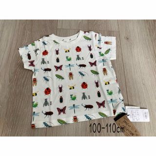 INSECT　COLLECTION - Insect Collection 昆虫大集合Tシャツ M 105cm