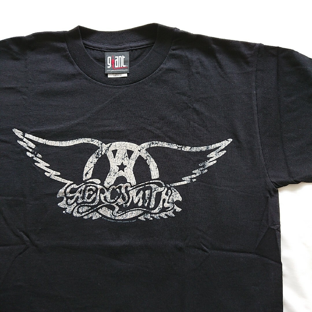 Giant(ジャイアント)のエアロスミス AEROSMITH バンドTシャツ ©️2001 空山基 当時物 メンズのトップス(Tシャツ/カットソー(半袖/袖なし))の商品写真