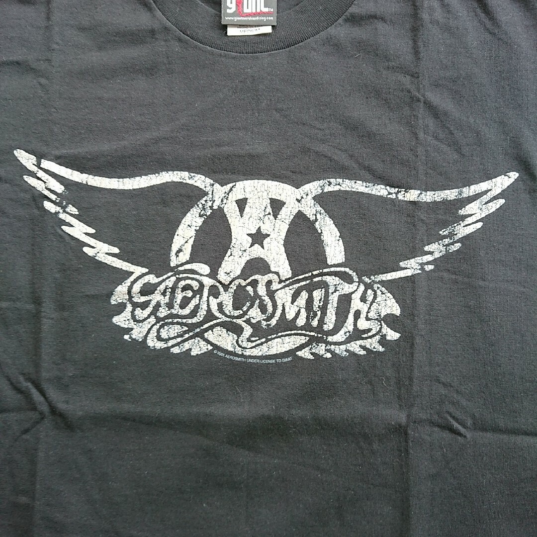 Giant(ジャイアント)のエアロスミス AEROSMITH バンドTシャツ ©️2001 空山基 当時物 メンズのトップス(Tシャツ/カットソー(半袖/袖なし))の商品写真