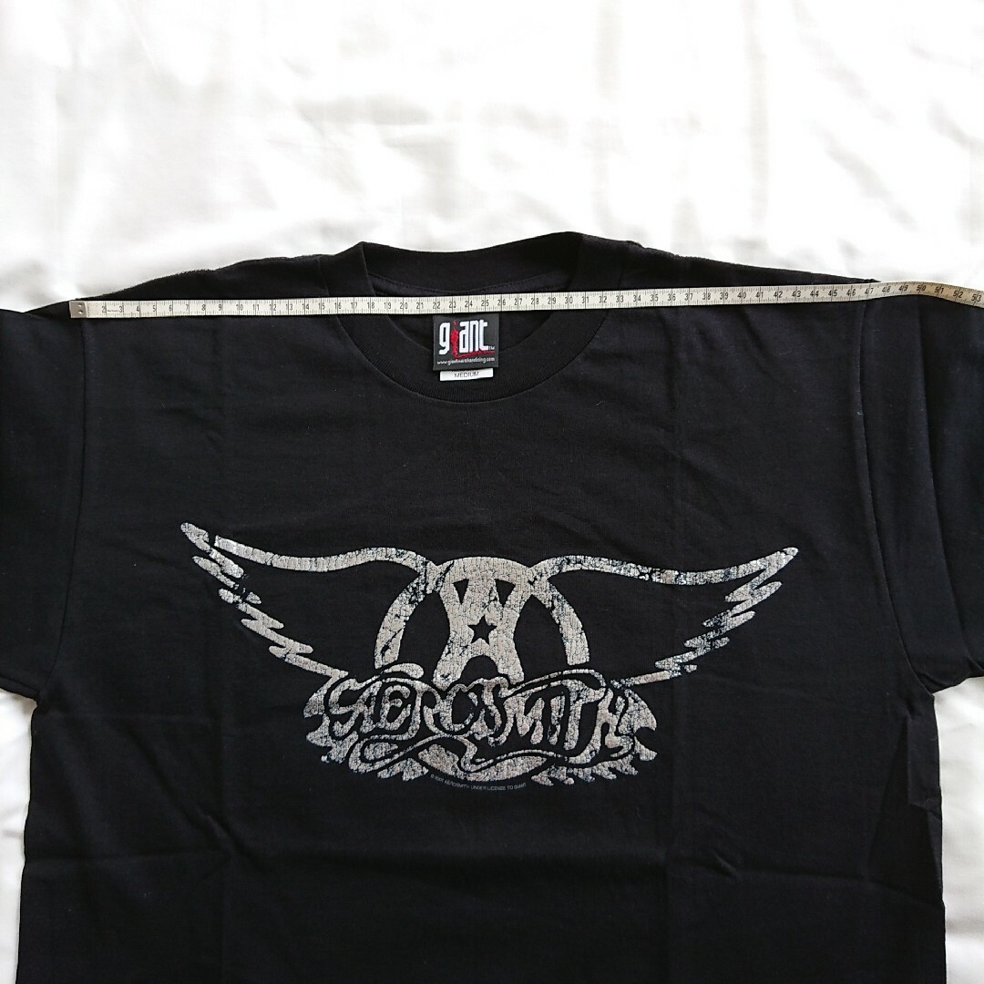 Giant(ジャイアント)のエアロスミス AEROSMITH バンドTシャツ ©️2001 空山基 当時物 メンズのトップス(Tシャツ/カットソー(半袖/袖なし))の商品写真