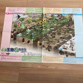 ベネッセ(Benesse)の進研ゼミ中学受験講座　生物まるわかりポスター(語学/参考書)