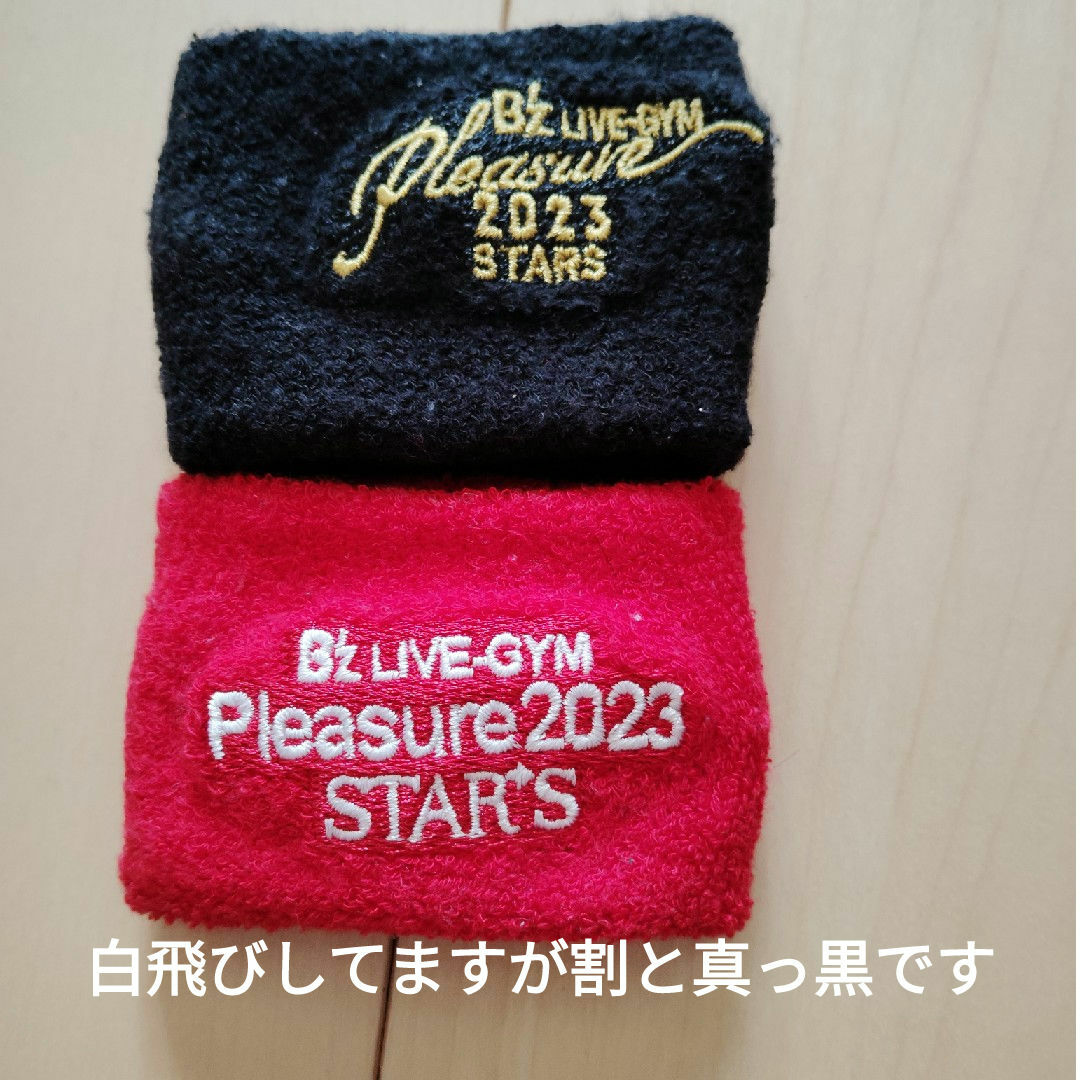 B'zLIVE-GYMPleasure2023STARSループタオル＆リスバン エンタメ/ホビーのタレントグッズ(ミュージシャン)の商品写真