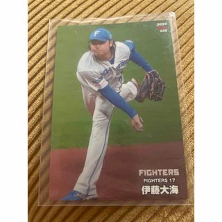 プロ野球チップスカード2024 伊藤大海エラーカード　176m(野球)